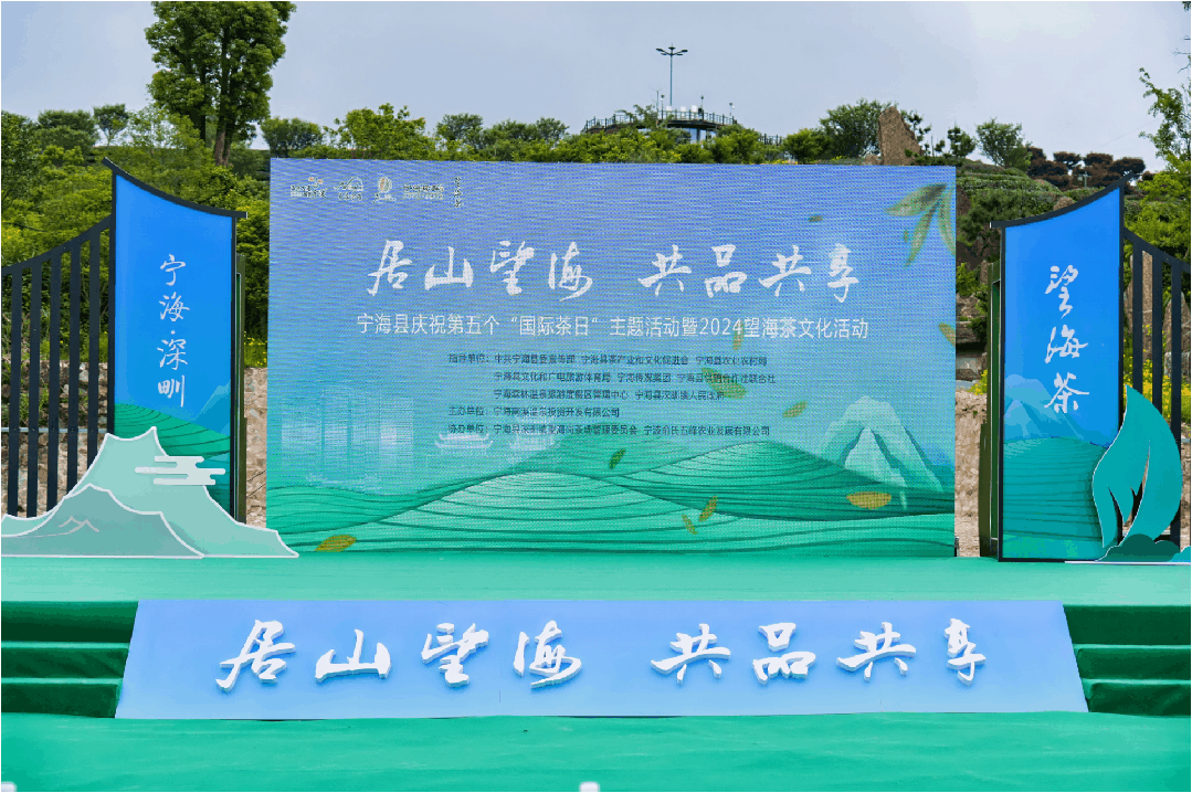 宁波这片山上,绿叶变金叶!还有诗和远方