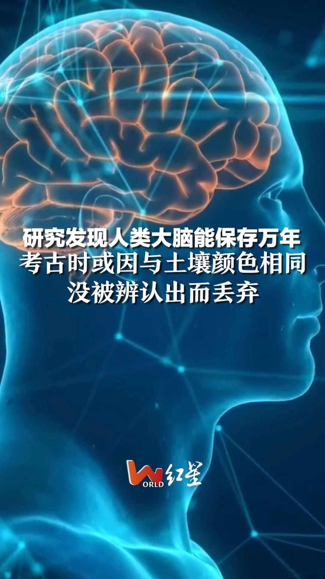 研究发现人类大脑能保存万年，考古时或因与土壤颜色相同，没被辨认出而丢弃