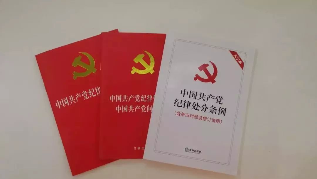 重庆市纪委常务副书记梅哲：严格对标党章贯彻落实纪律处分条例