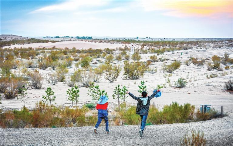 奔向连片的梭梭林