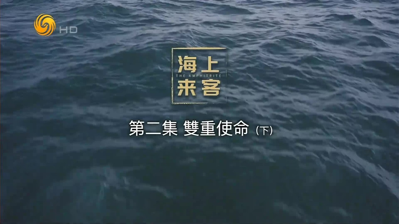 海上来客：双重使命（下）