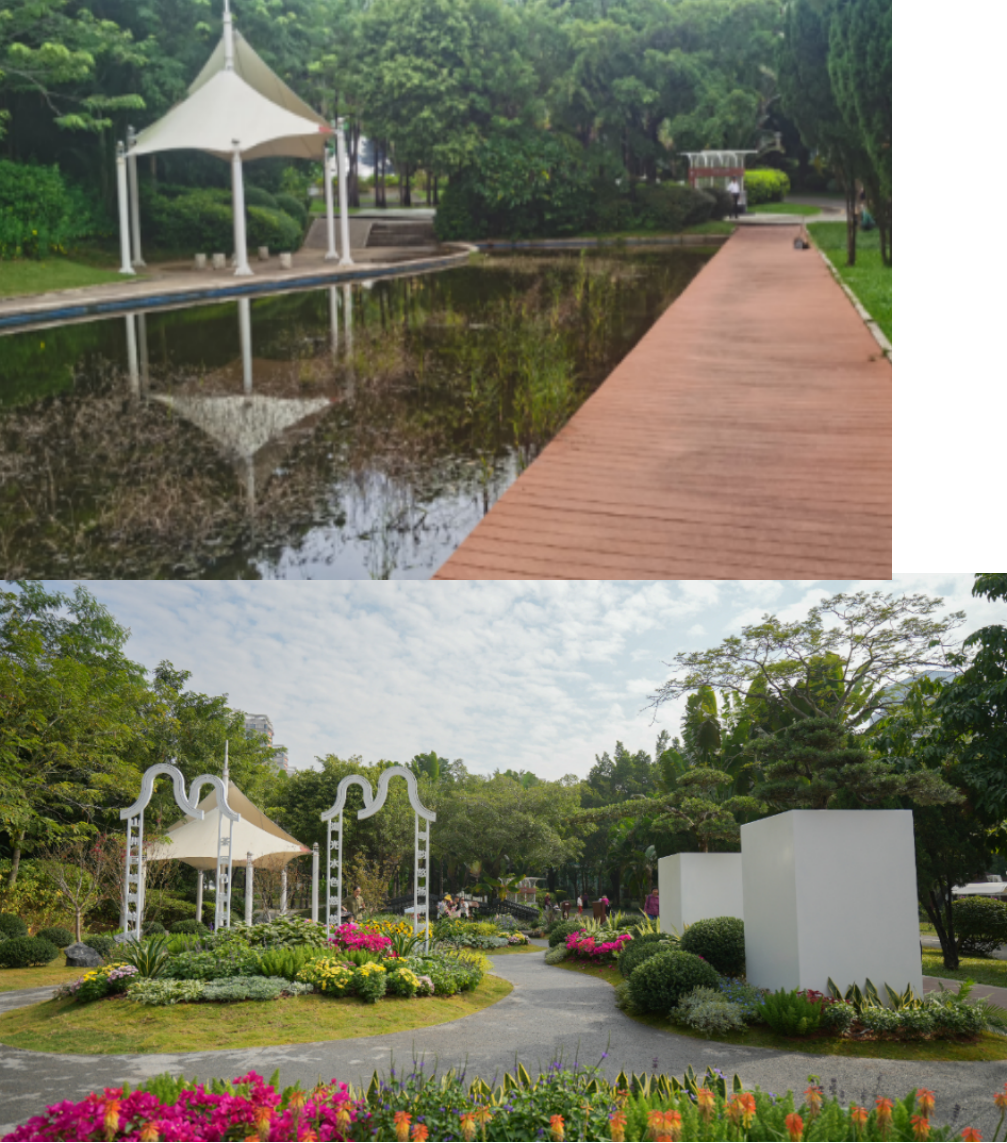 园博园多彩博览“源”项目改造前后对比