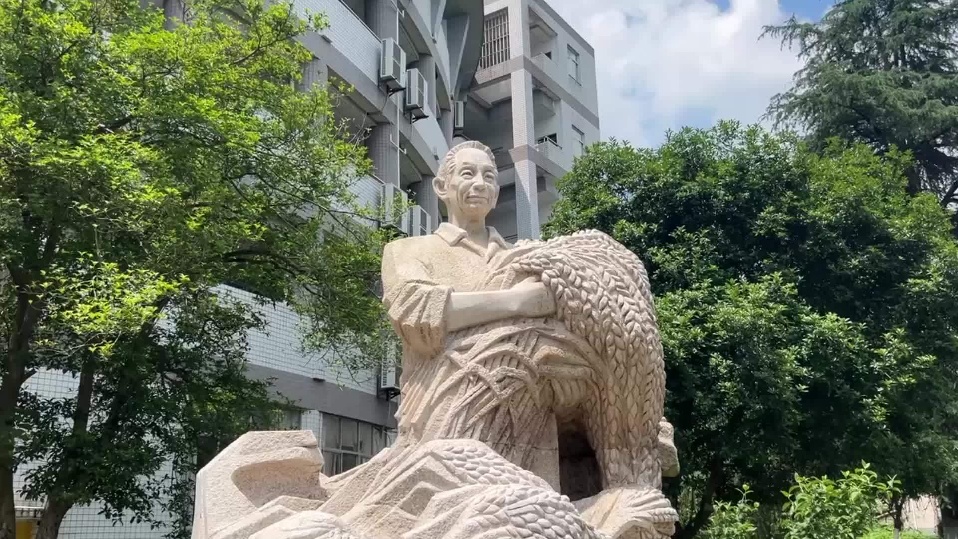 袁隆平院士逝世3周年