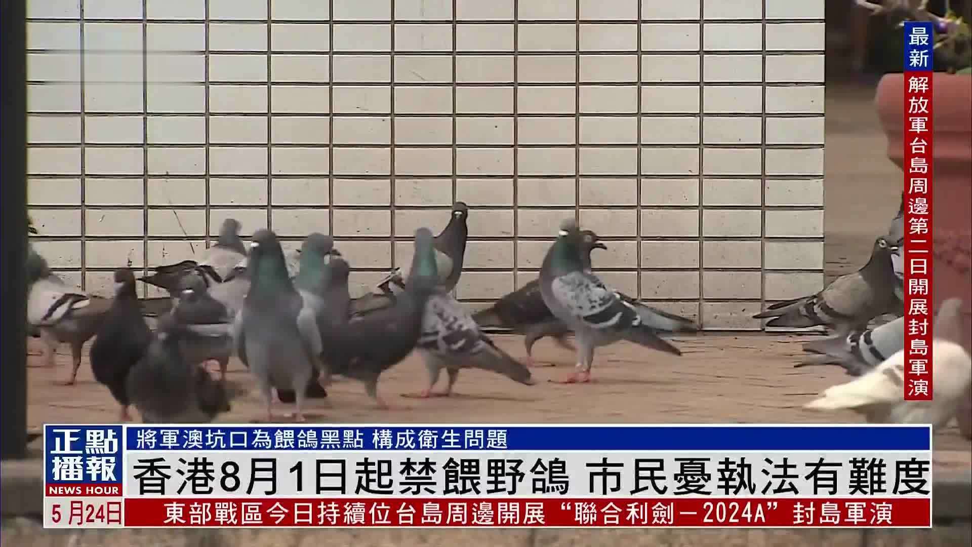 香港8月1日起禁喂野鸽 市民担忧执法有难度