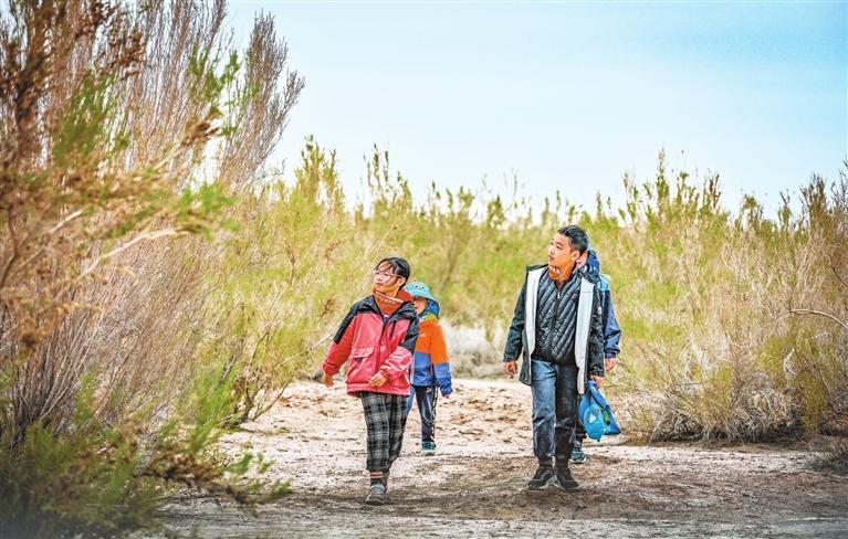 长到2米多高的梭梭