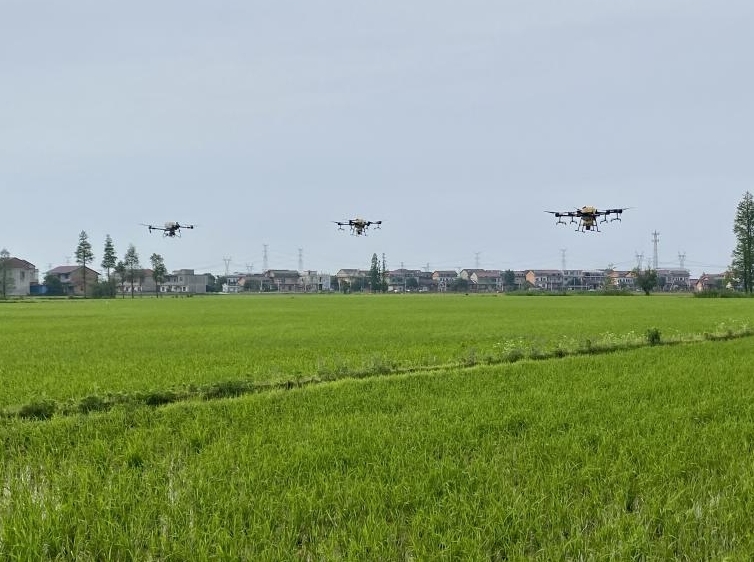 南昌县泾口乡:加强早稻田间管理 保障农民增产增收