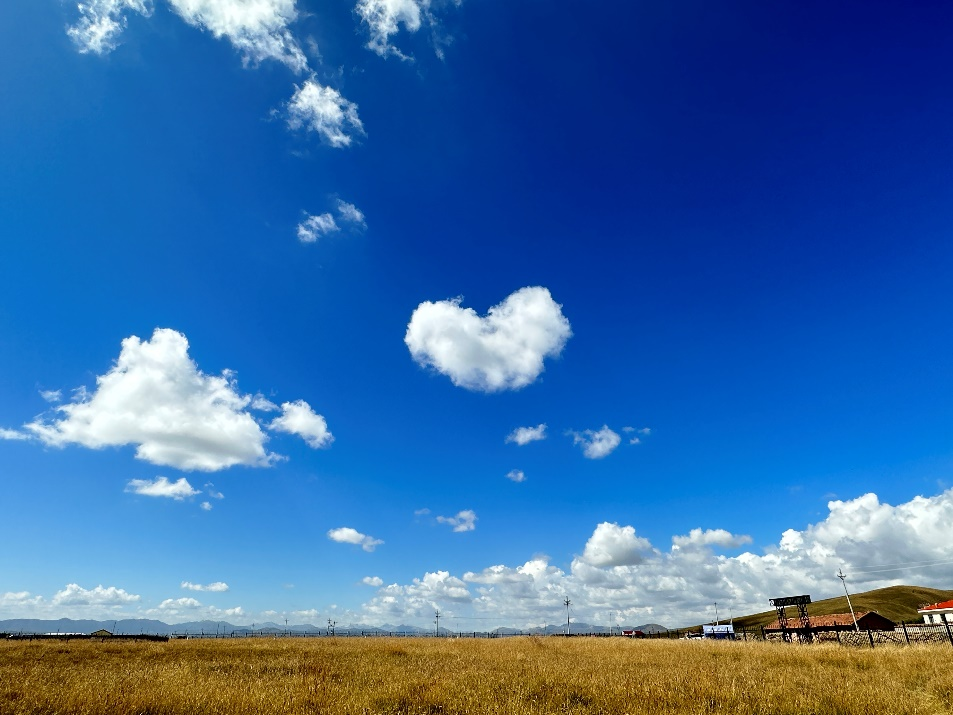 一颗爱心云送给每一位读到此处的读者