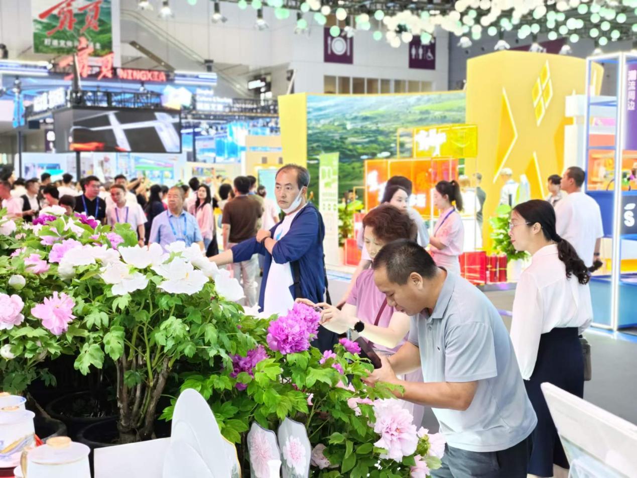 深圳文博会山东展区 “好客”袭来 “好品”荟萃