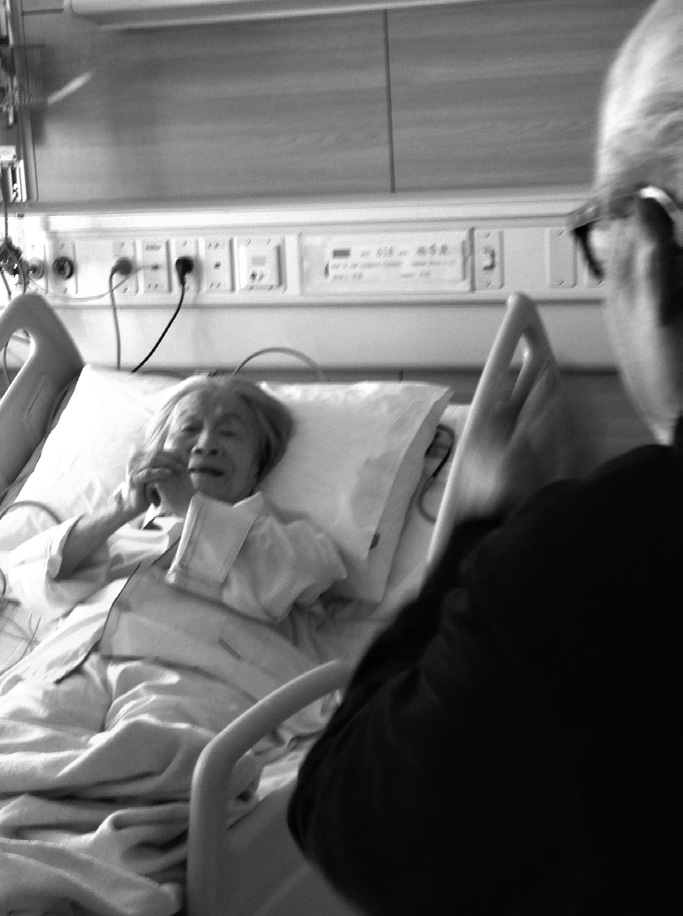 本书整理者吴学昭于2016年4月10日在协和医院探视杨绛先生，临别时杨先生拱手拜托整理本书