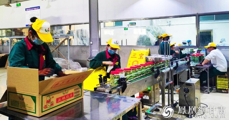 甘肃古浪工业集中区双塔园区内，瓜子飘香生产忙。图源自古浪县融媒体中心