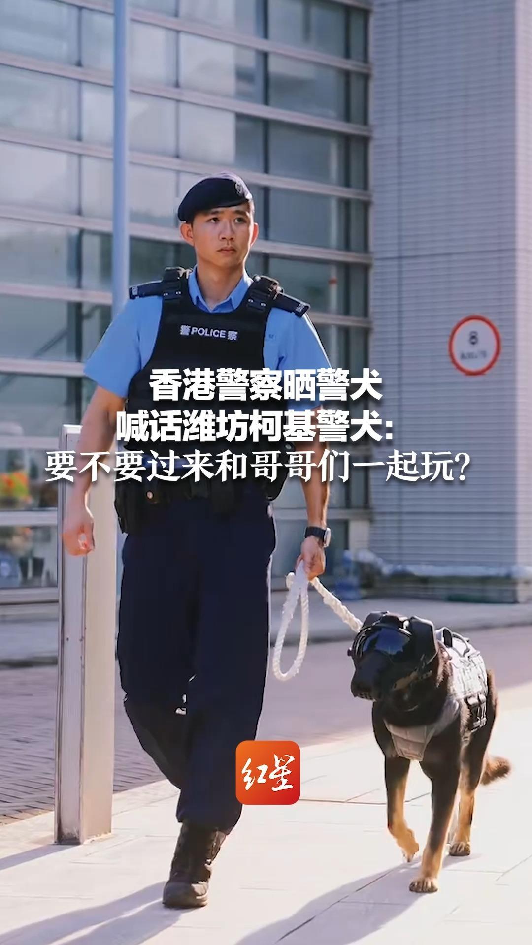 香港警察委任证模板图片