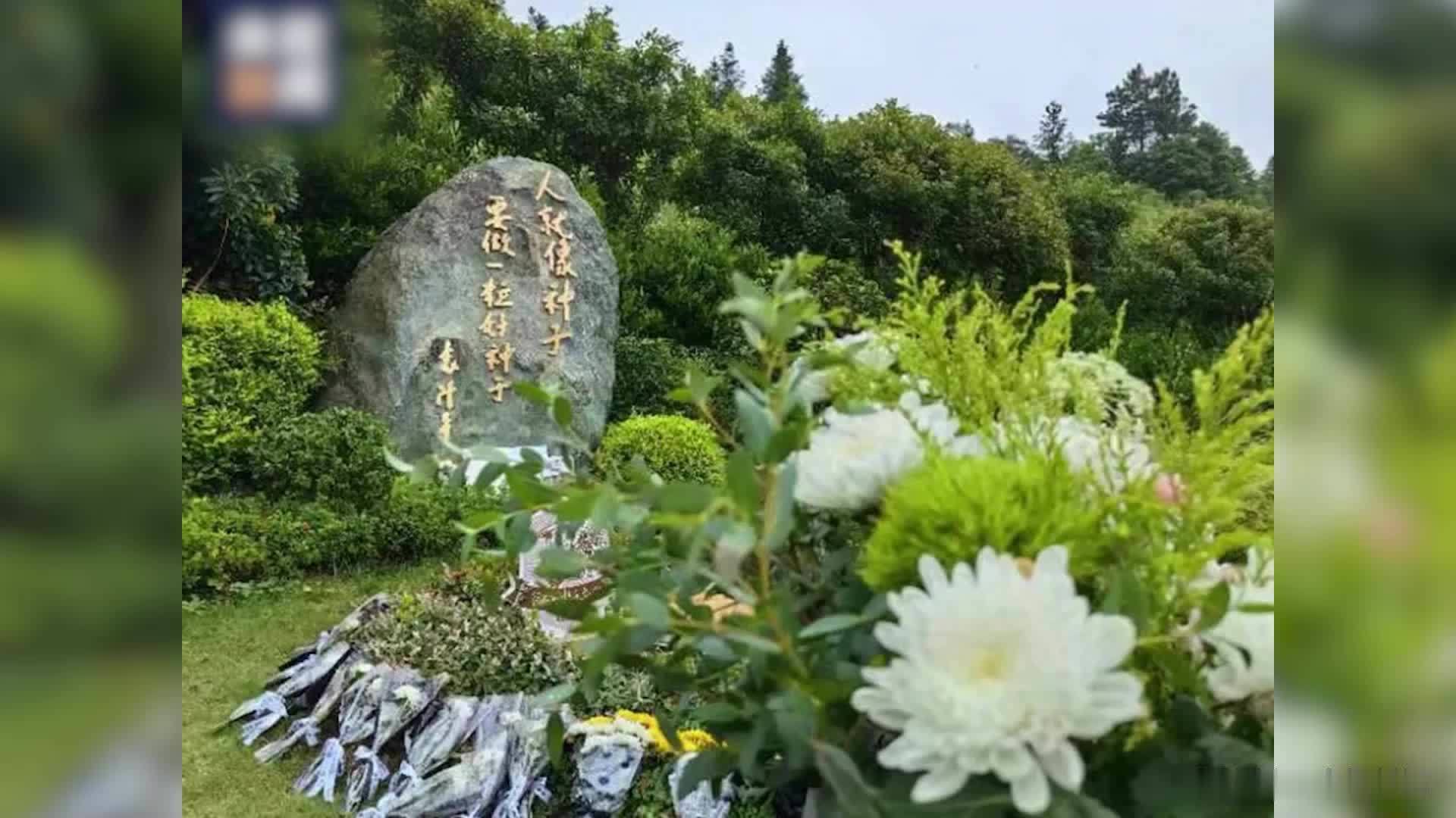 袁隆平逝世三周年，市民自发来到袁老墓前献花悼念