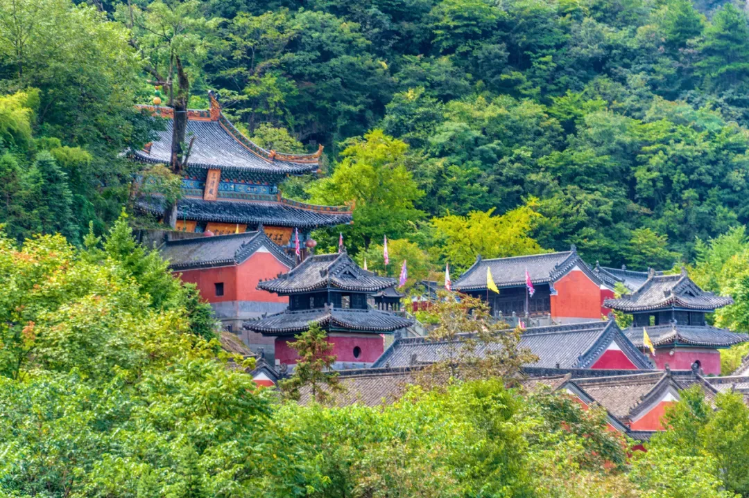 中国最赚钱的山,一张门票259元,年收入超80亿,是黄山的4倍多!每个人却都想去......