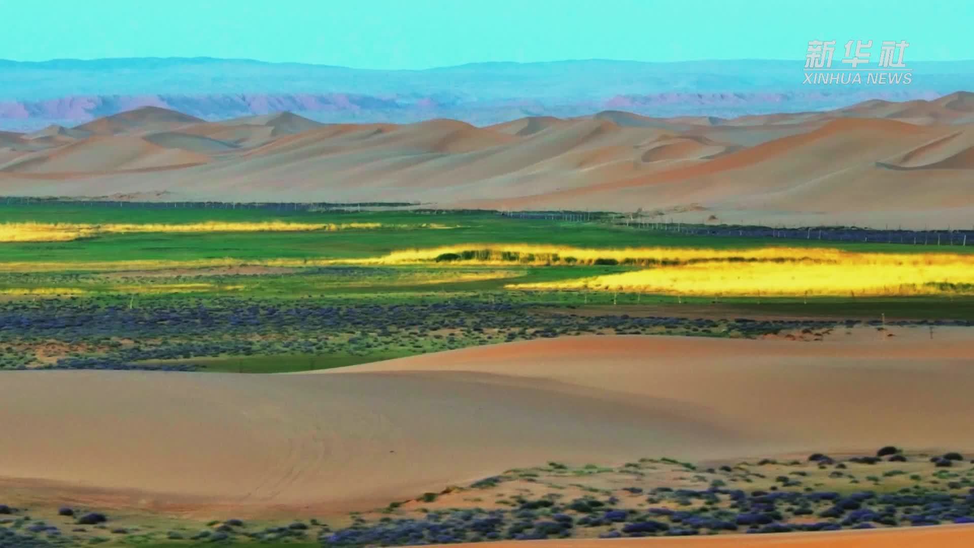 内蒙古马兰湖：沙水相伴花似锦