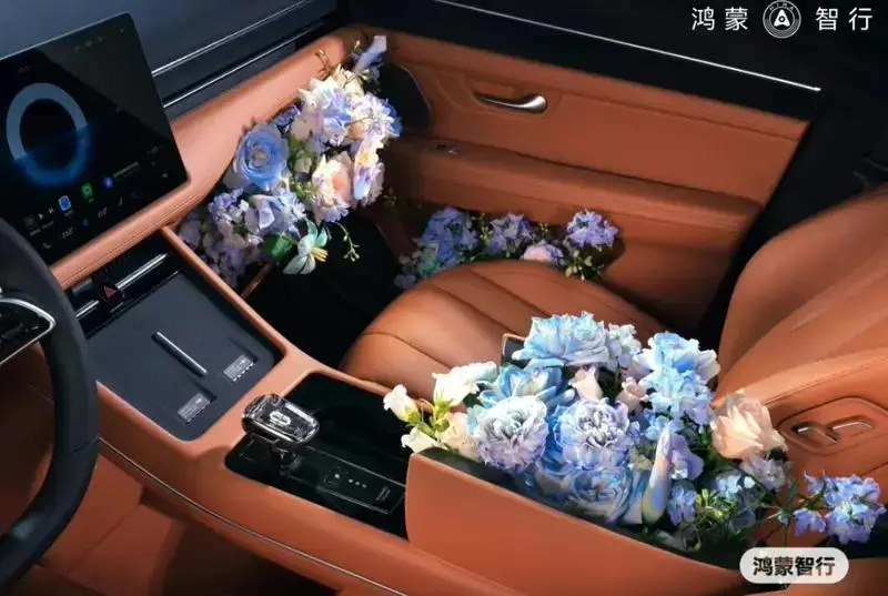 ▲ 图源:鸿蒙智行