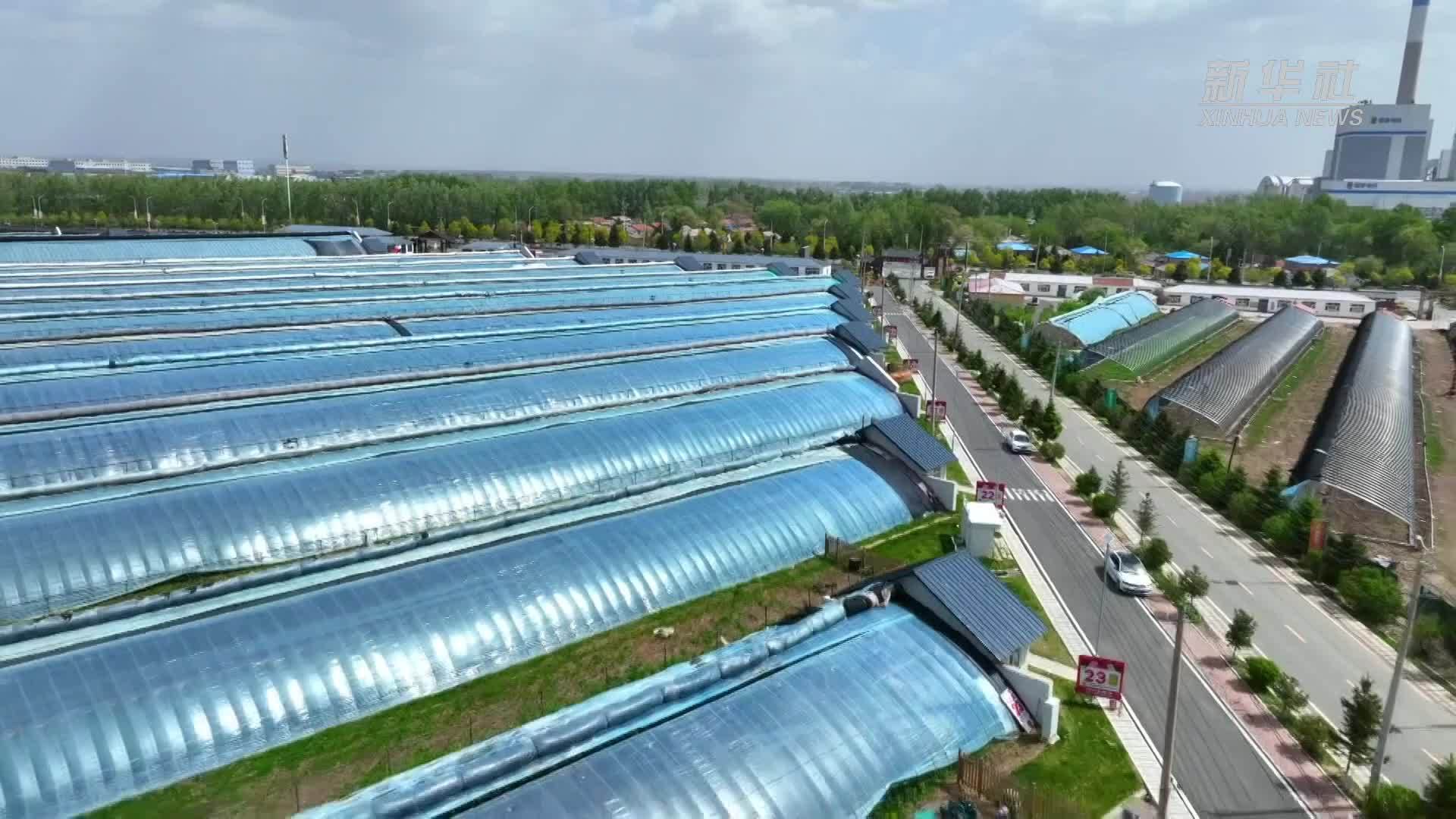 四季旅行｜吉林双阳：草莓小镇甜蜜蜜_凤凰网视频_凤凰网
