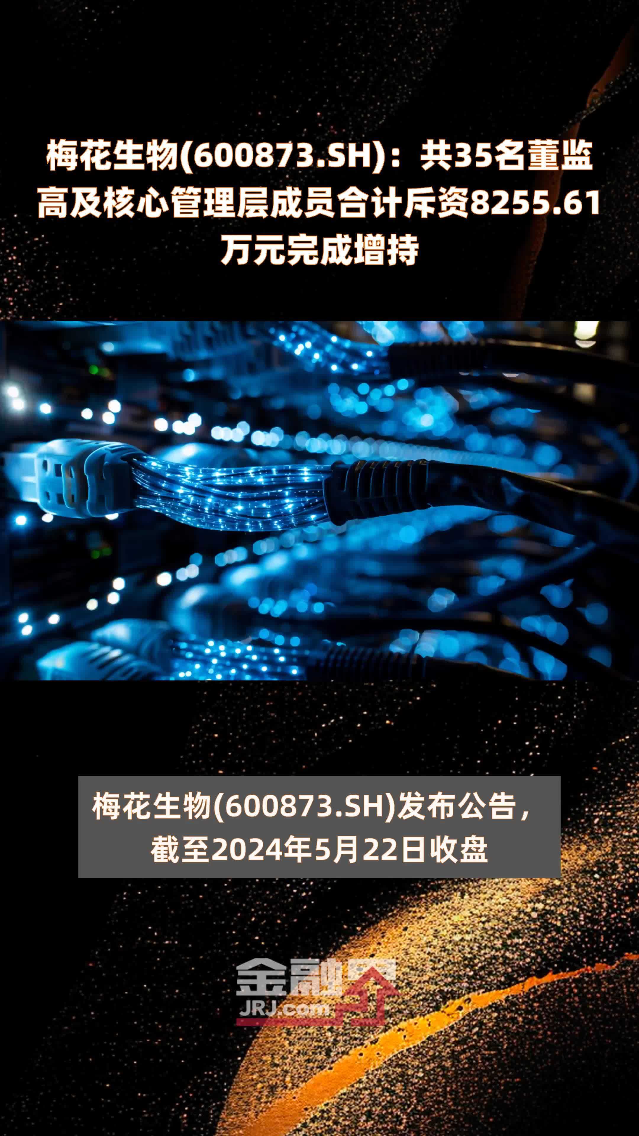 梅花生物(600873.SH)：共35名董监高及核心管理层成员合计斥资8255.61万元完成增持 |快报