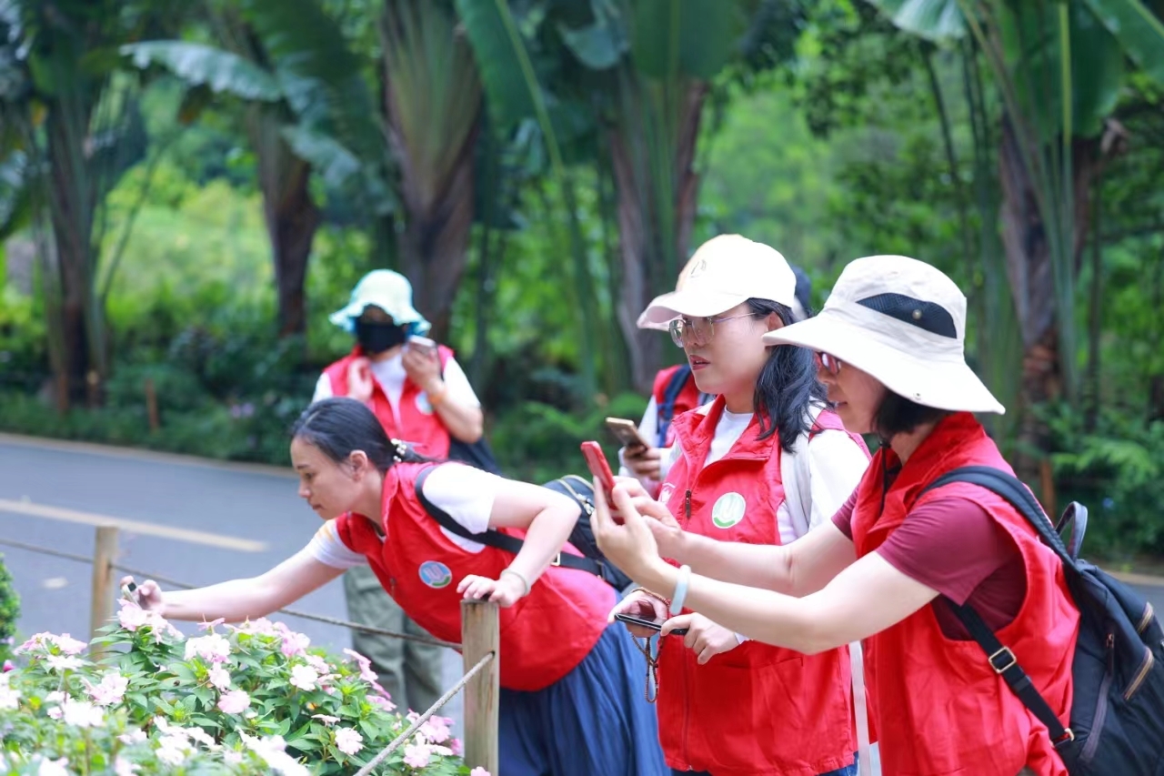 2024年国际生物多样性日主题活动 粤港澳城市多地联合启动“蜜源植物在哪里”公民科学活动
