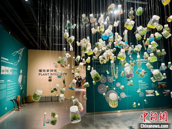 中国科学院昆明植物研究所昆明植物园，植物多样性展示。中新网记者 孙自法 摄