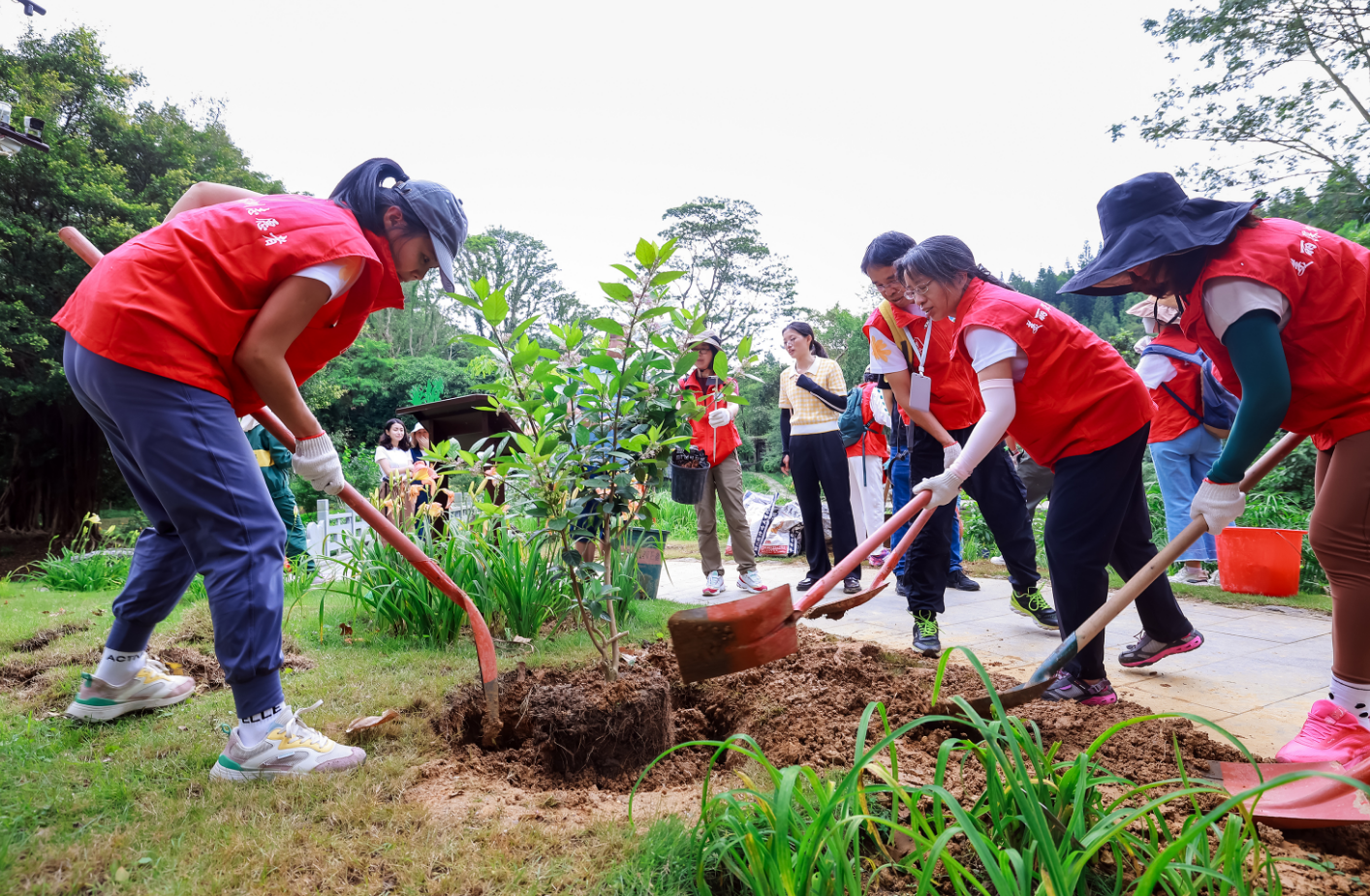 2024年国际生物多样性日主题活动 粤港澳城市多地联合启动“蜜源植物在哪里”公民科学活动