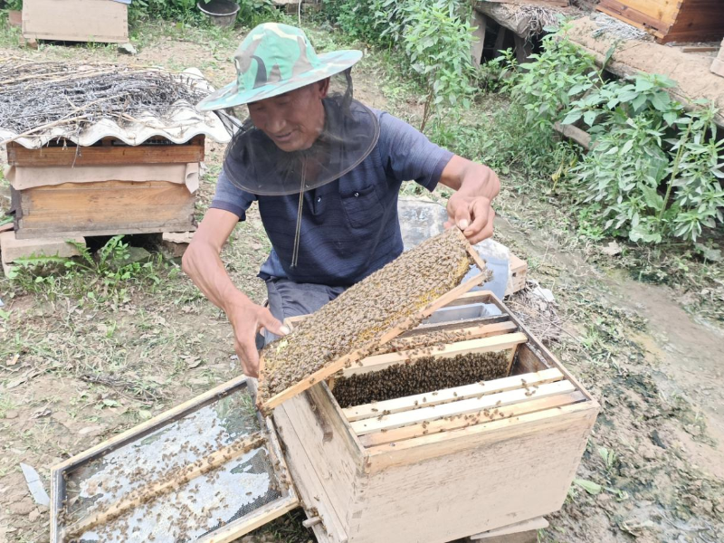 兴产业美环境育新风　华亭乡村振兴“喜结硕果”