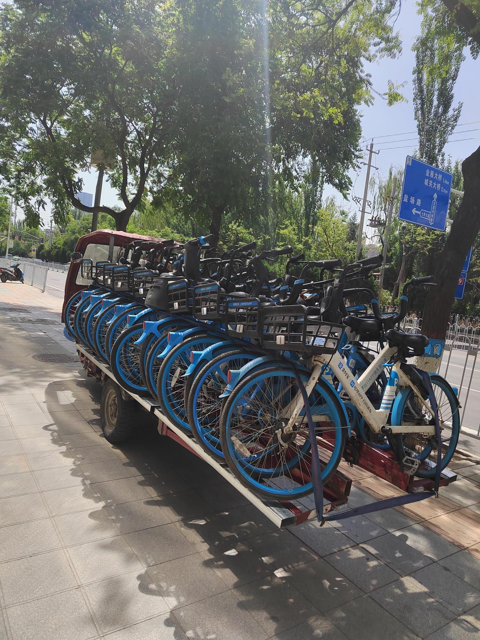 转运兰马赛道沿线共享单车