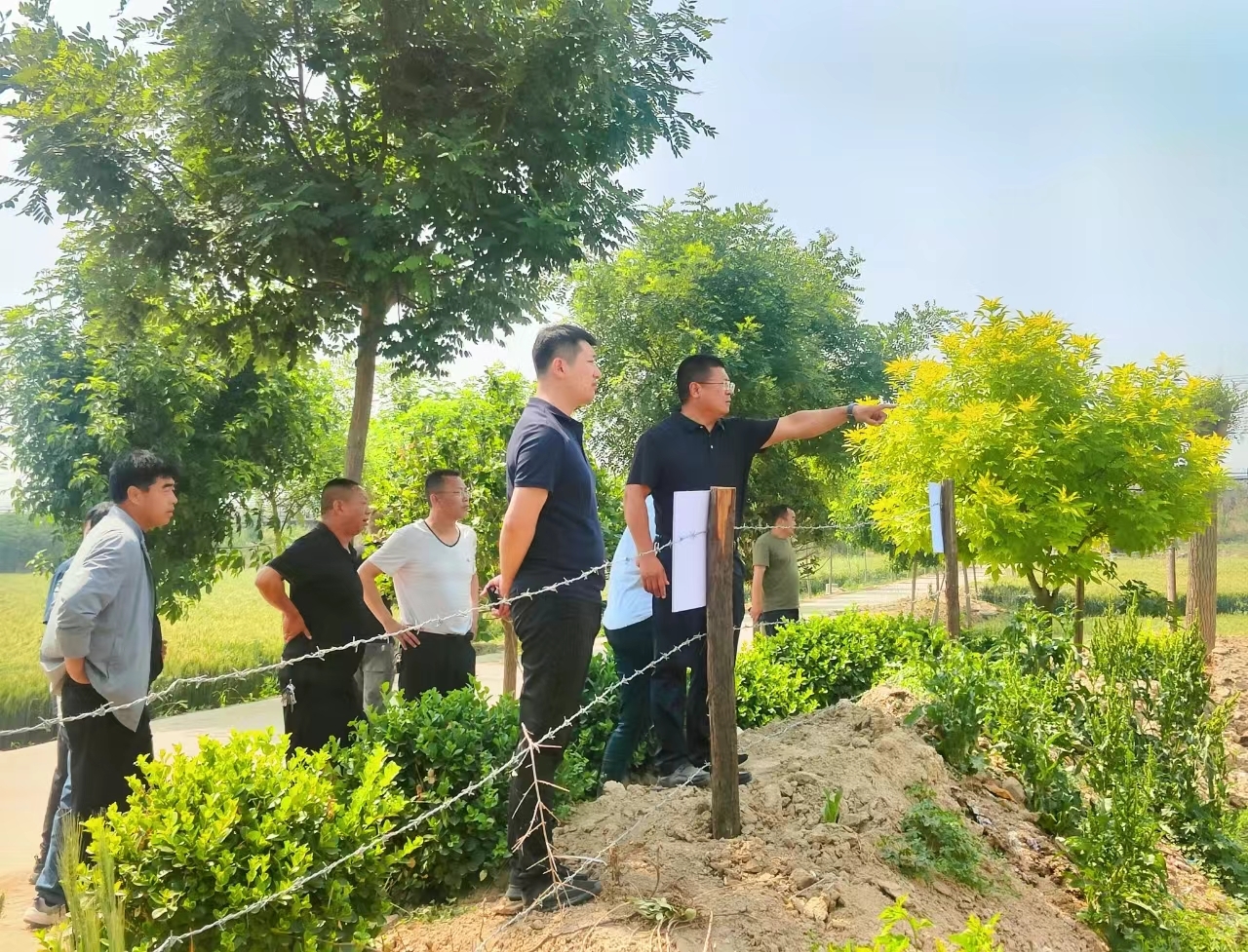 定州市东旺镇以现场观摩找差距，促进人居环境大提升