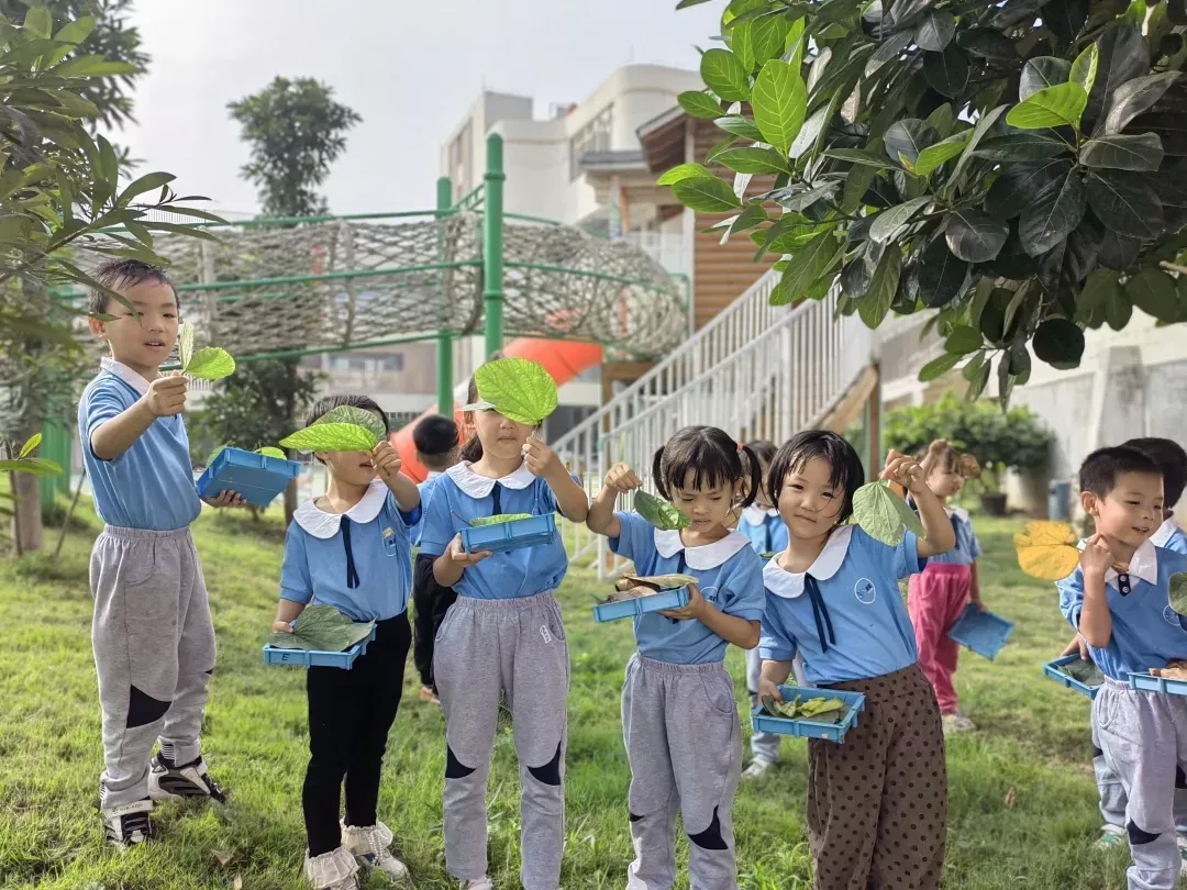 沐童幼儿园大自然课程