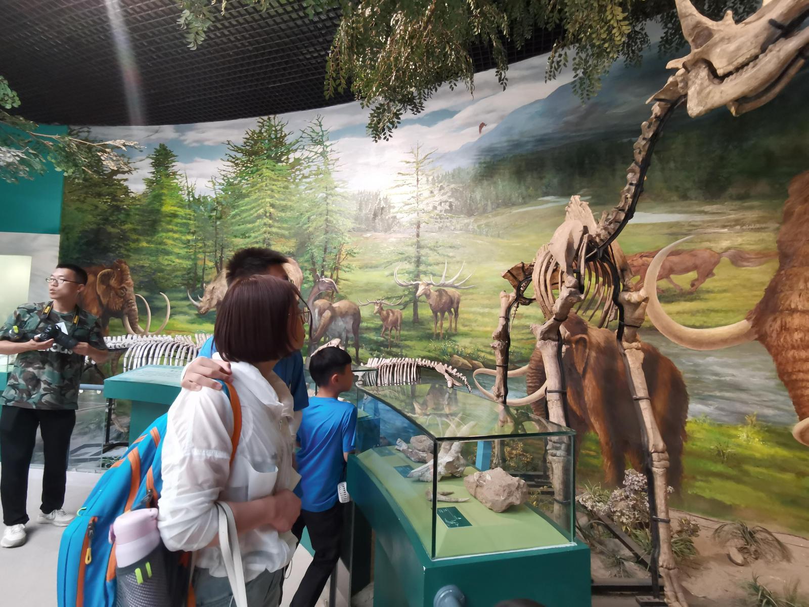 甘肃省博物馆成为节假日遛娃好去处