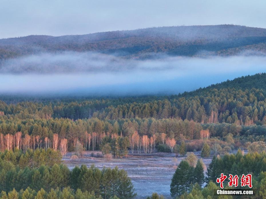 雾起大兴安岭 “中国冷极”秒变仙境