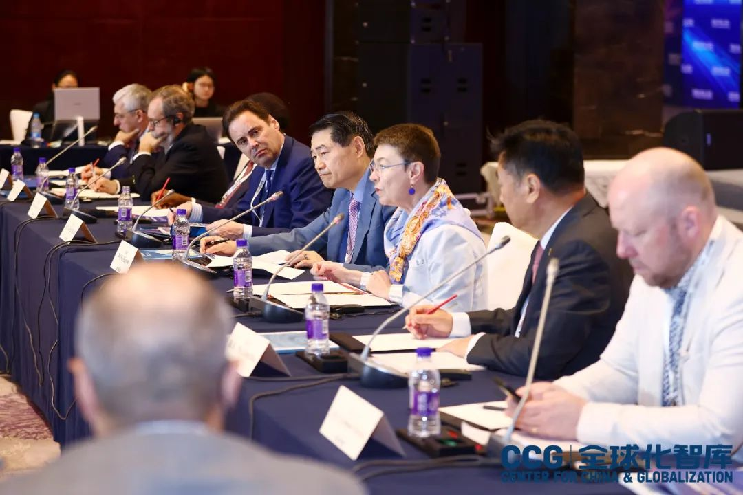▎ 德国驻华大使傅融在会上发言