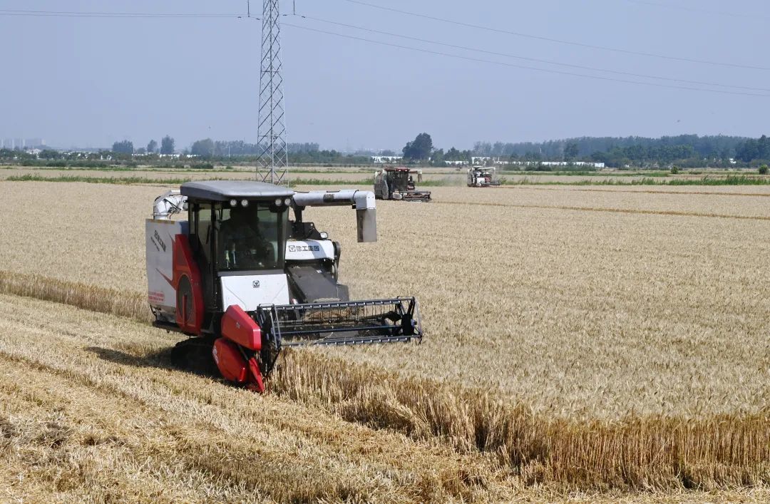 徐州"三夏"大规模小麦机收即将全面展开