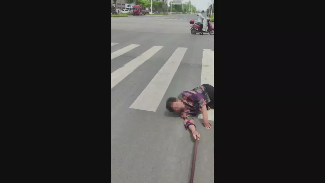 央视关注！为孝感的凡人善举点赞！