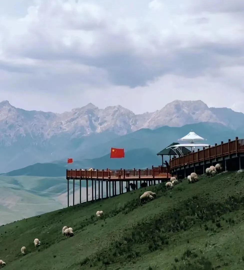 寻美揽胜、“暑”我会游：缤纷夏日　乐游武威天祝