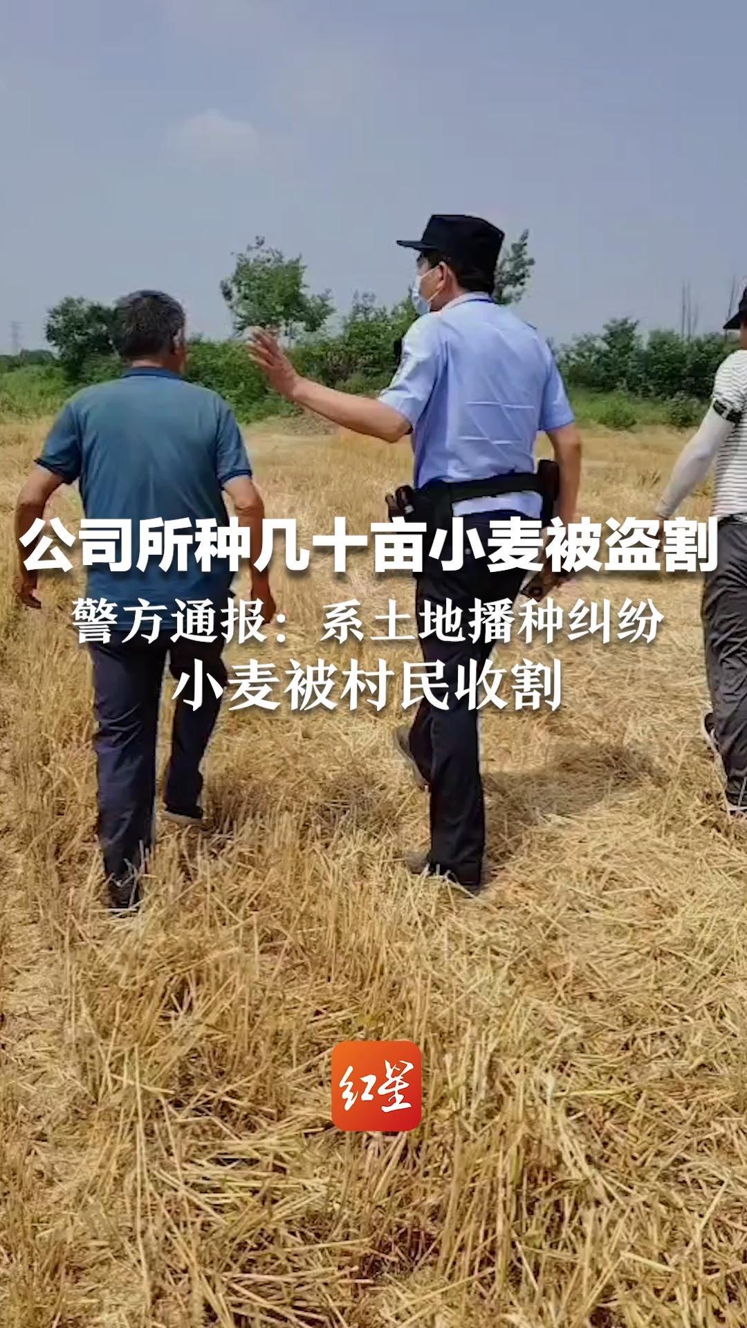 公司所种几十亩小麦被盗割 警方通报：系土地播种纠纷  小麦被村民收割  当事双方和解