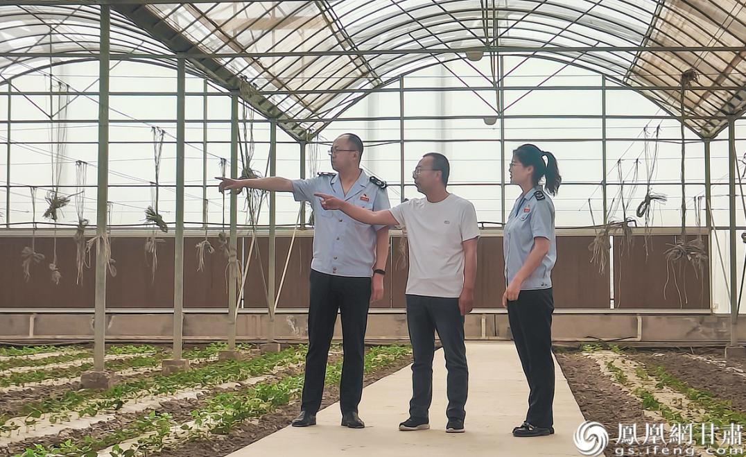 酒泉市税务局工作人员走访了解农业企业发展情况