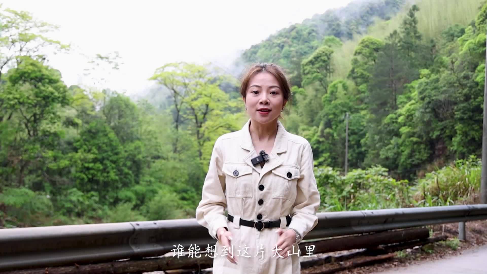 千城百县看中国丨福建光泽：干坑云雾锁 红茶世代香