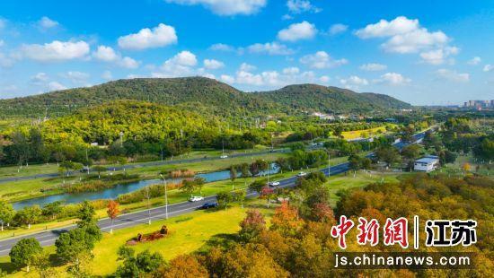 最美胶阳路。锡东新城供图