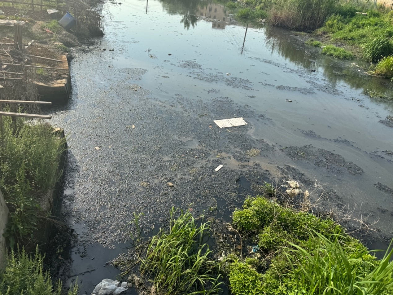 5月16日，位于武汉市黄陂区滠口街道的老泵站河，污泥上浮，臭味明显。本文图片除署名外均为澎湃新闻记者 刁凡超 摄