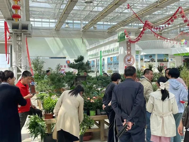 ▲花卉交易中心人流如织