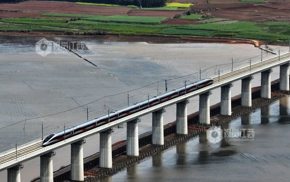 胡国林 齐超 钱丛 摄