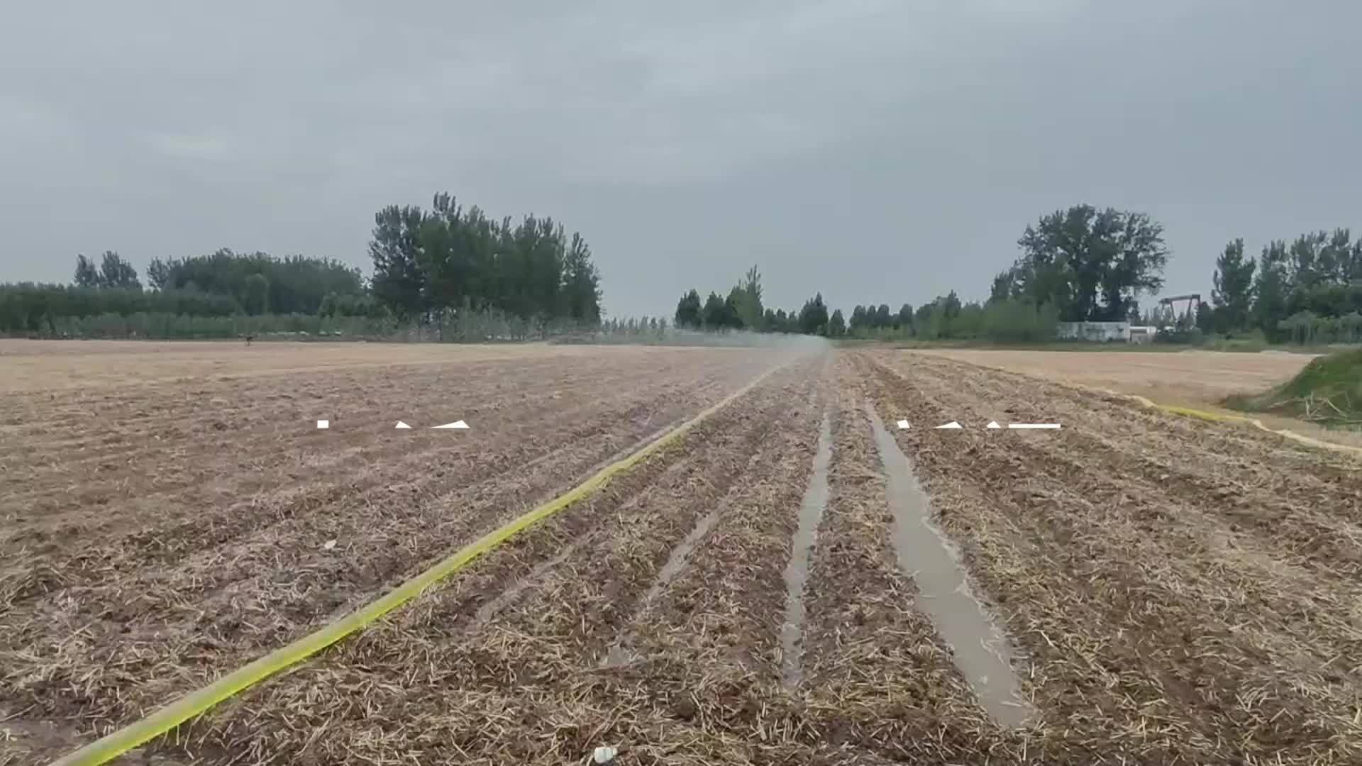 河南平顶山66岁老人种麦亩产超千斤，谈种地经验农谚金句不断，“能吃能干心情好”