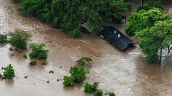 中国女生在肯尼亚遭遇洪水爬上树坚持12小时失温缺水几乎绝望