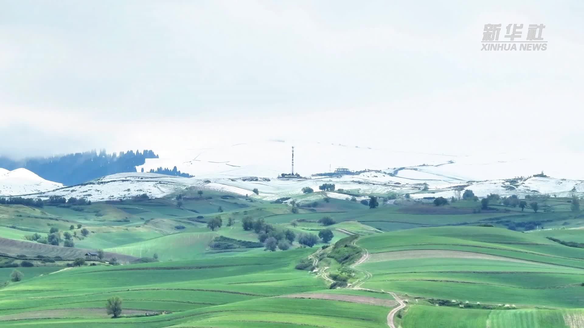 千城胜景｜新疆奇台县南部山区落雪成诗意