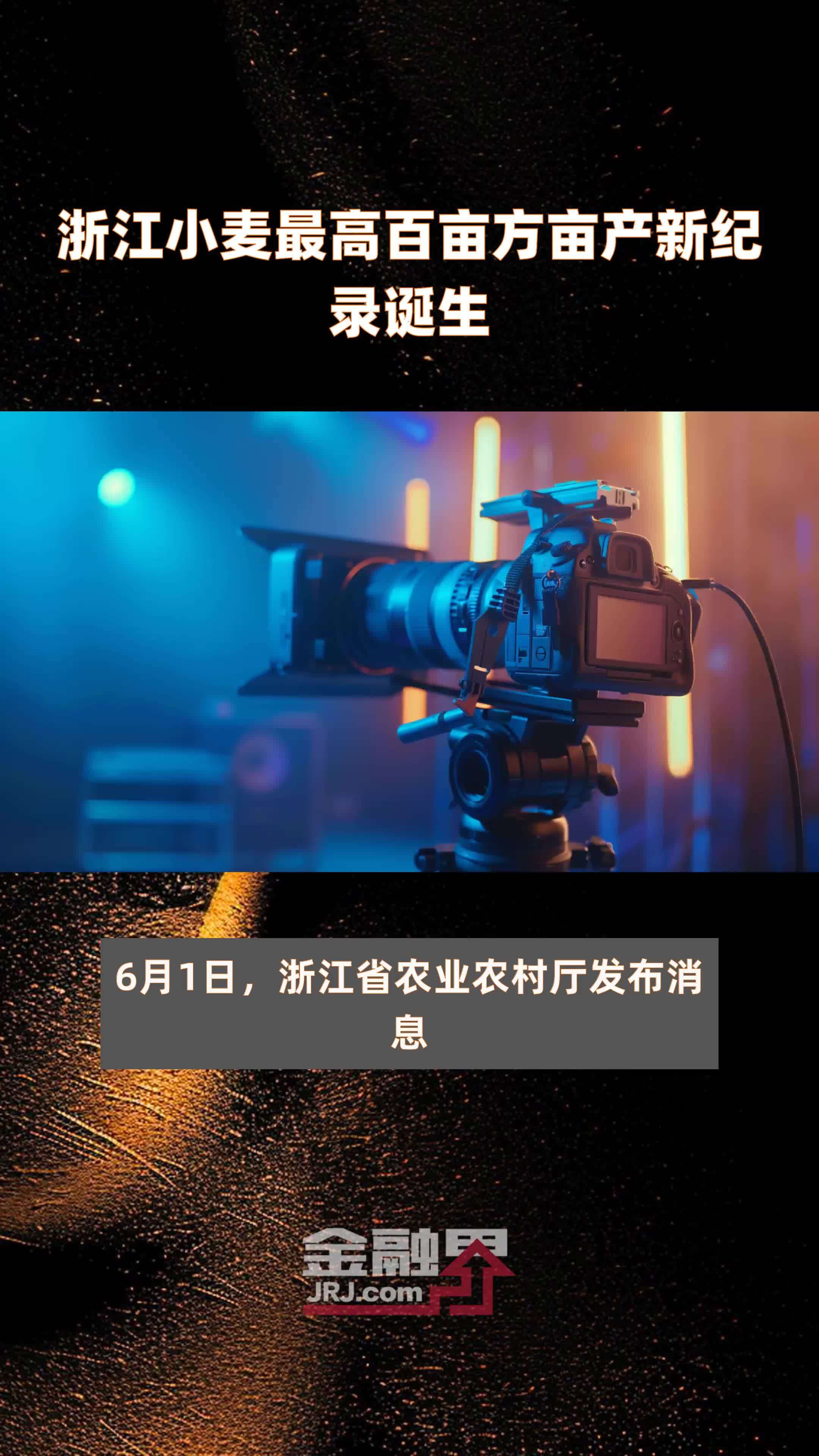 浙江小麦最高百亩方亩产新纪录诞生|快报