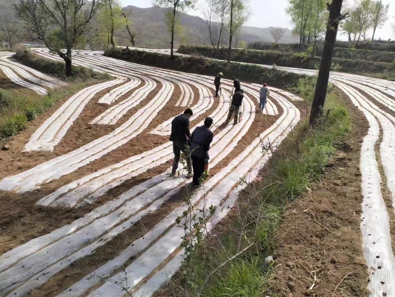 打好组合拳念好“致富经”　华亭这样壮大村级集体经济