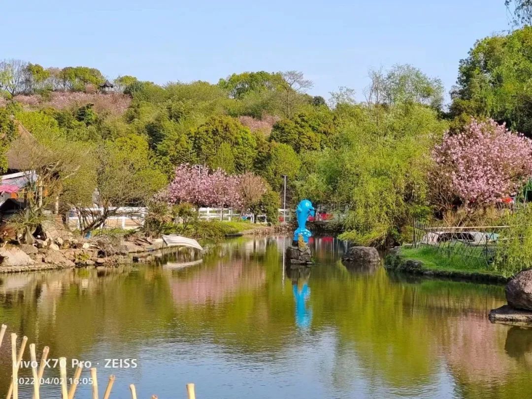 嗨"野"劳作:趣插秧,趣栽培;嗨"野"美食:大麦冰糕,巧克力