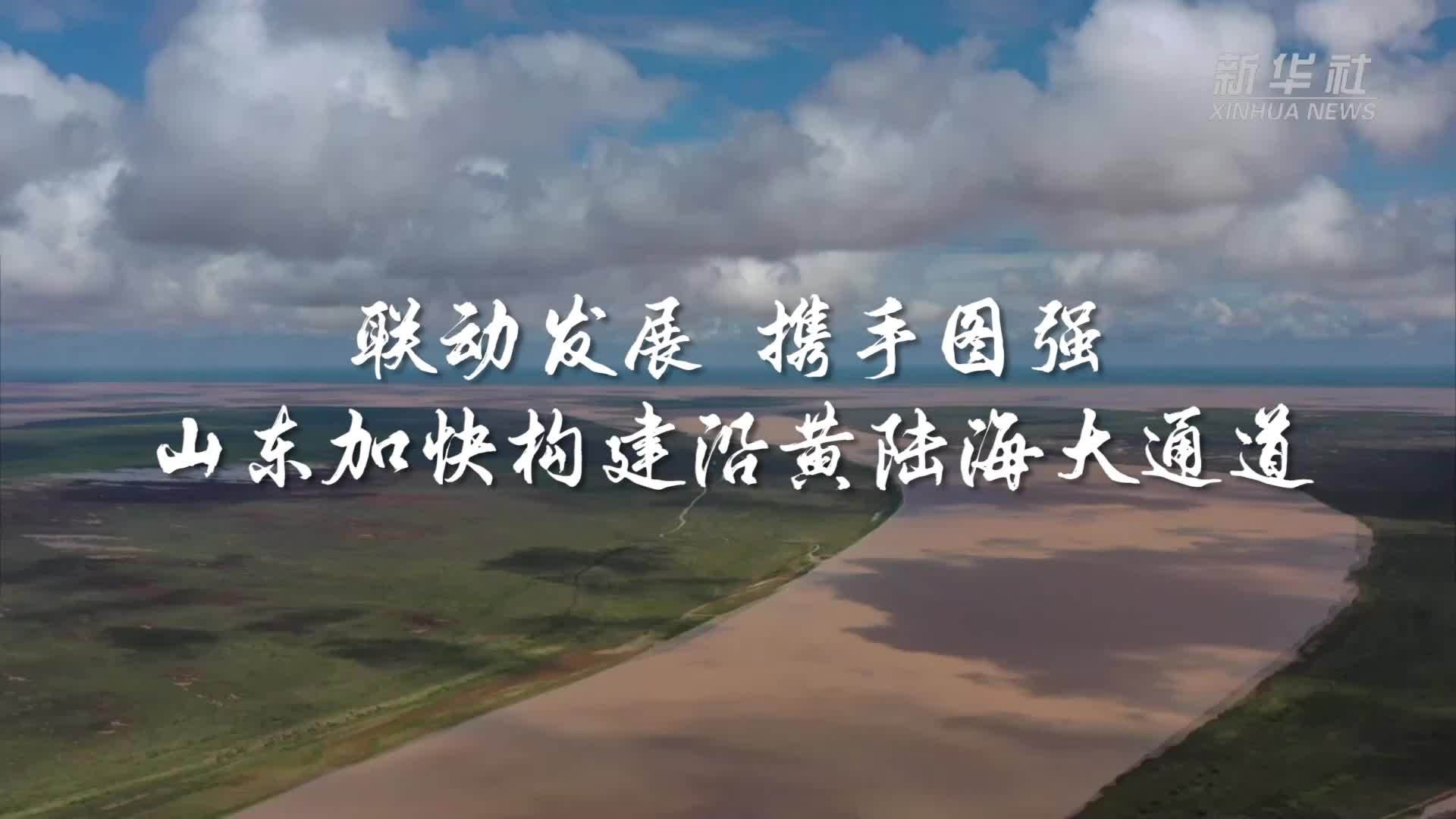 联动发展 携手图强——山东加快构建沿黄陆海大通道