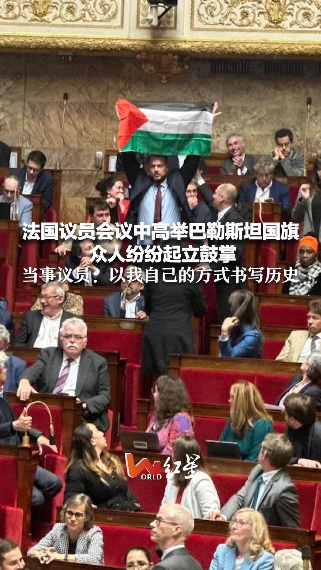 法国议员会议中高举巴勒斯坦国旗 众人纷纷起立鼓掌 当事议员：以我自己的方式书写历史