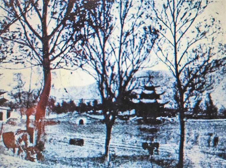 20世纪30年代的兰州小西湖(采自《西北揽胜》)(本版图片均为资料图)